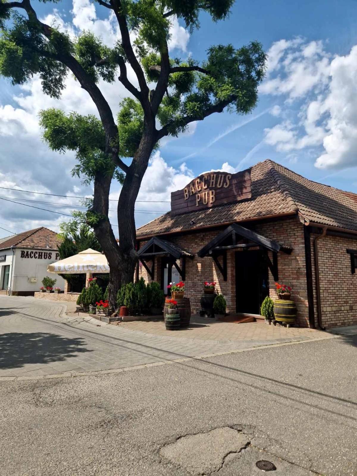 Bed and Breakfast Bacchus Pub Es Panzio Dunaharaszti Exteriér fotografie